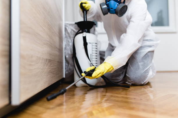 Best Affordable Pest Control Services  in Santa Venetia, CA
