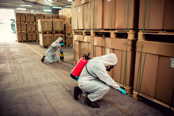 Best Emergency Pest Control  in Santa Venetia, CA