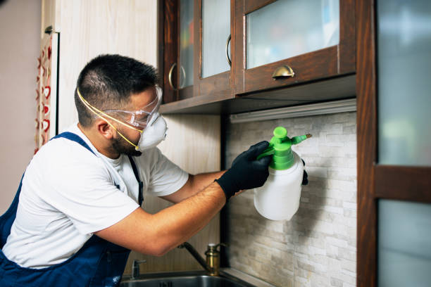 Best Pest Prevention Services  in Santa Venetia, CA