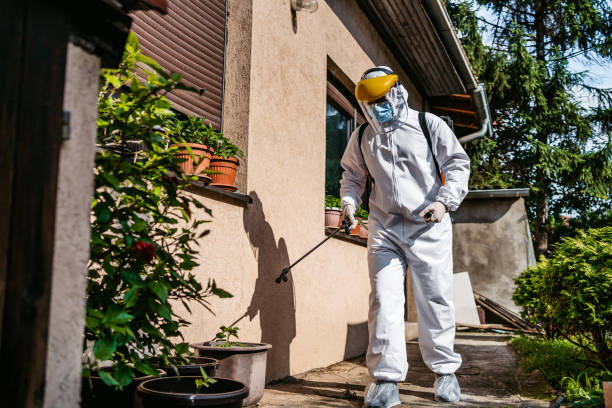 Best Wasp Removal Services  in Santa Venetia, CA