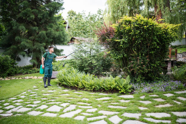 Best Pest Control Near Me  in Santa Venetia, CA