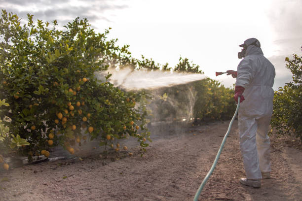Best Residential Pest Control  in Santa Venetia, CA
