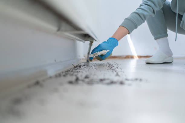 Reliable Santa Venetia, CA Pest Control Solutions